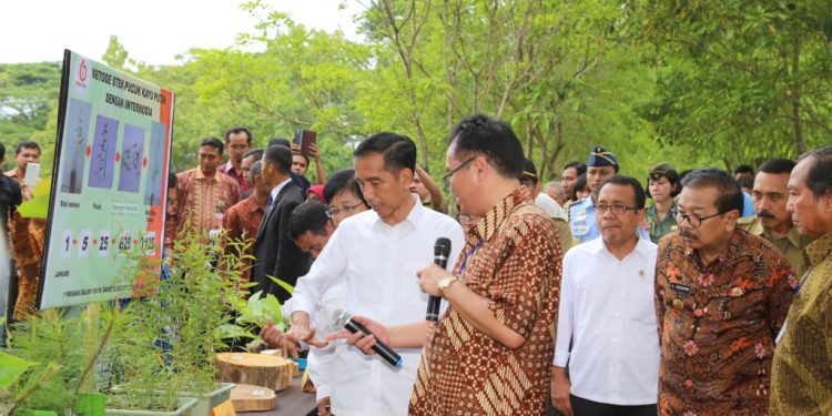 Jokowi Blusukan di Jatim Bagian Barat