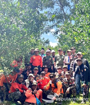 Kasatkornas di Lokasi Panen Jeruk di Tegalweru, Dau Kabupaten Malang