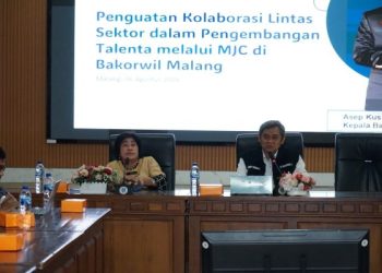Dok. SMC Pro